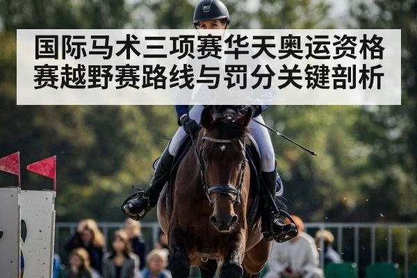 equestrian show jumping