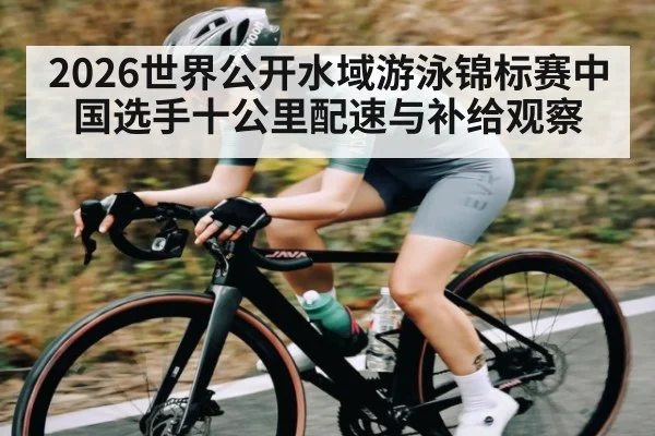 2026世界公开水域游泳锦标赛中国选手十公里配速与补给观察